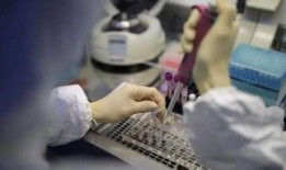 新冠肺炎最新爆料,追踪病毒变异与全球防控策略